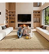 Ehayx Light Tan 9x12 Area Rug for Living Room, Soft Fluffy Large Rugs for Bedroom, Shag Non-Slip ...