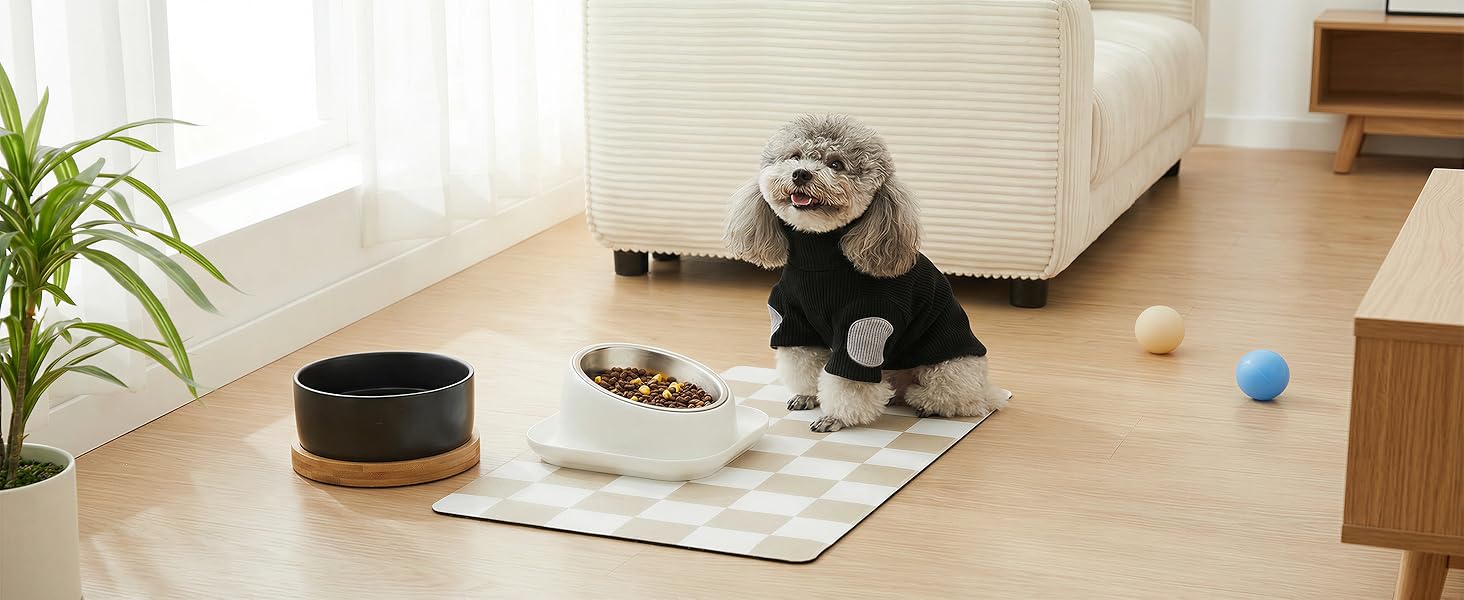 Dog sitting on the dog feeding mat