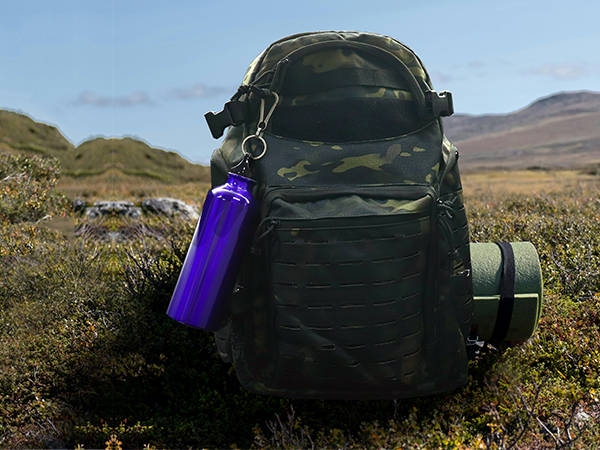 titanium carabiner