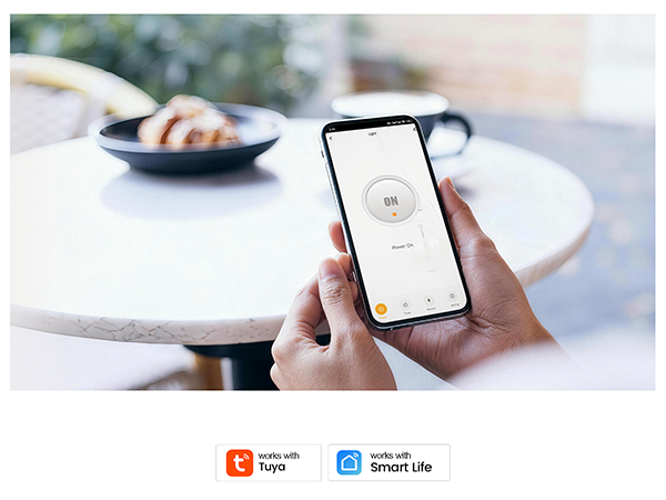 smart plug