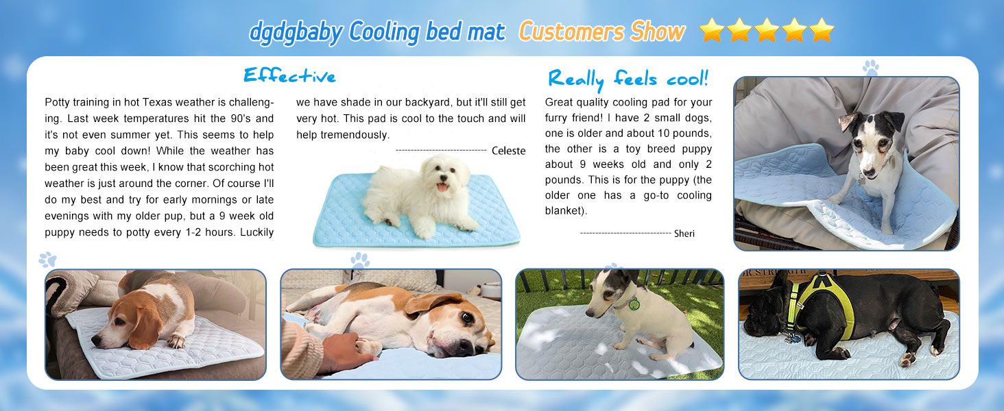 Cooling pad for dogs provides a safe cool resting spot for small and medium pets