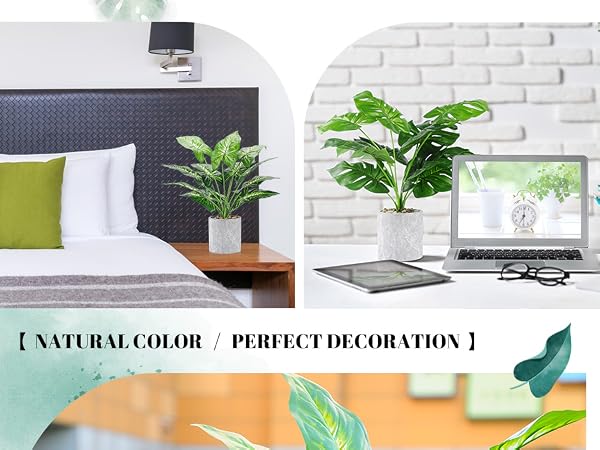 fakes plants