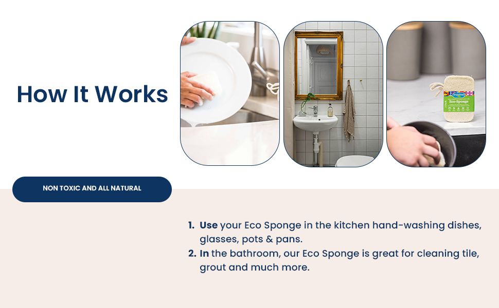 sink pack scrub scott spounge spung spong cleaning washing cellulose scrubbing pads dishwasher wash