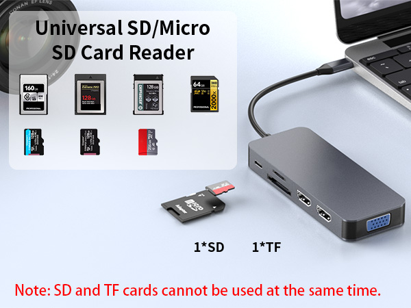 SD/Micro SD Card Reader