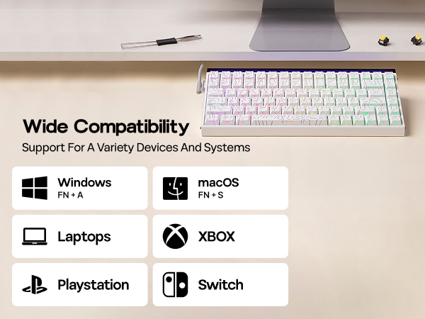 Hall Effect Keyboard with Neon RGB Light Box