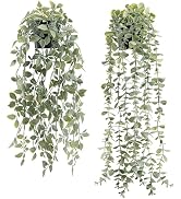 Der Rose 2Pcs Fake Hanging Plants with Black Pot for Bathroom Shelf Decor | Boho cascading eucaly...