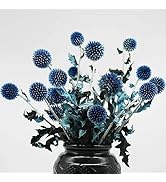 20+ Balls Dried Blue Thistle Flowers Bouquet - 15" Preserved Echinops Globe Flower for Wedding, B...