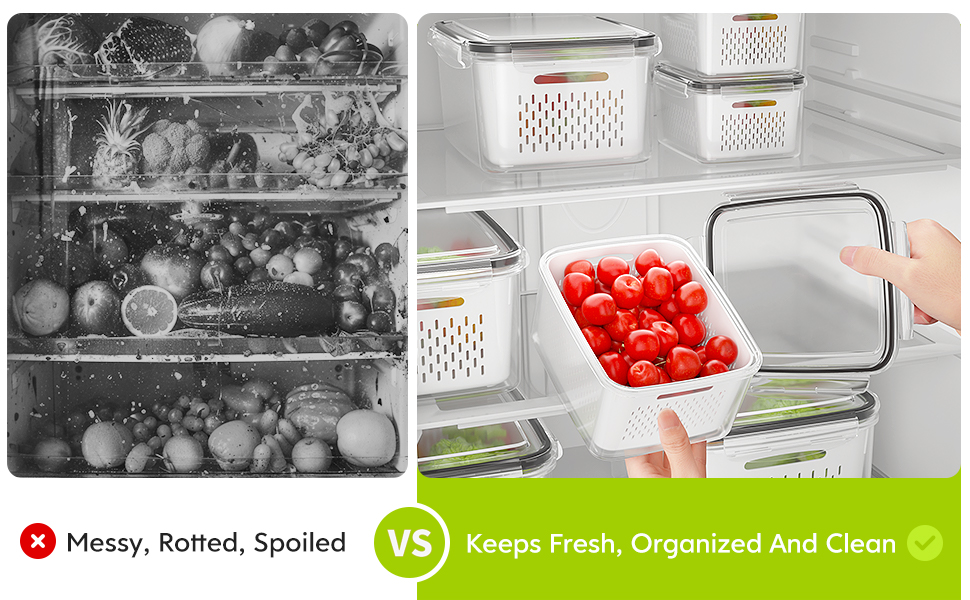 fruit containers for fridge
