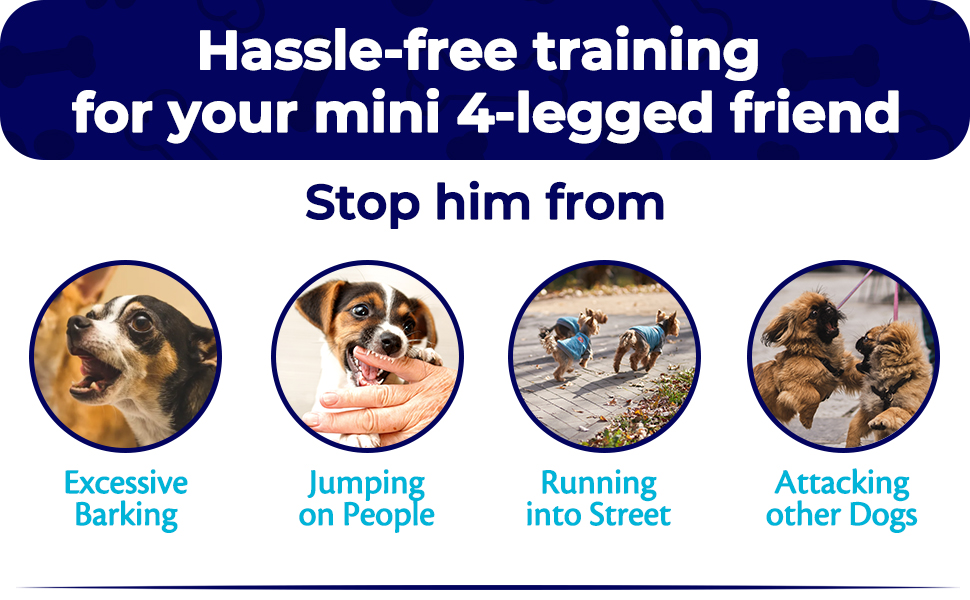 Hassle free training