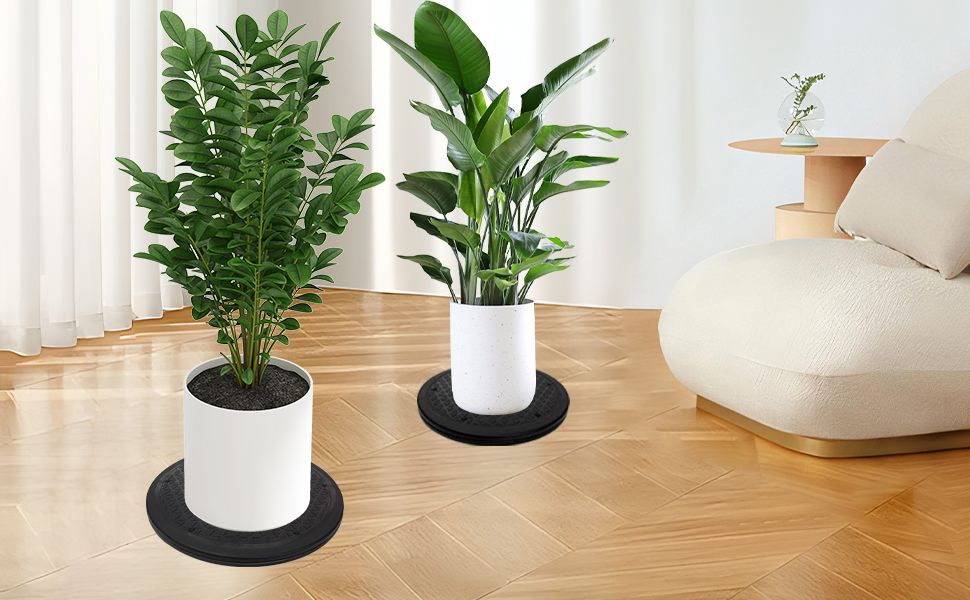 Lazy Susan