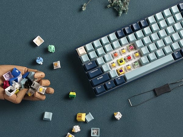 hot swappable mechanical keyboard