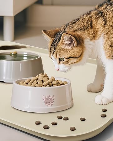 https://m.media-amazon.com/images/S/aplus-media-library-service-media/4085e0c2-d129-4370-9040-bc4d31ceeb72.__CR321,0,1279,1600_PT0_SX362_V1___.jpg