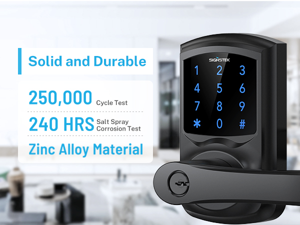 Touchscreen Keypad Door Lock with Handle