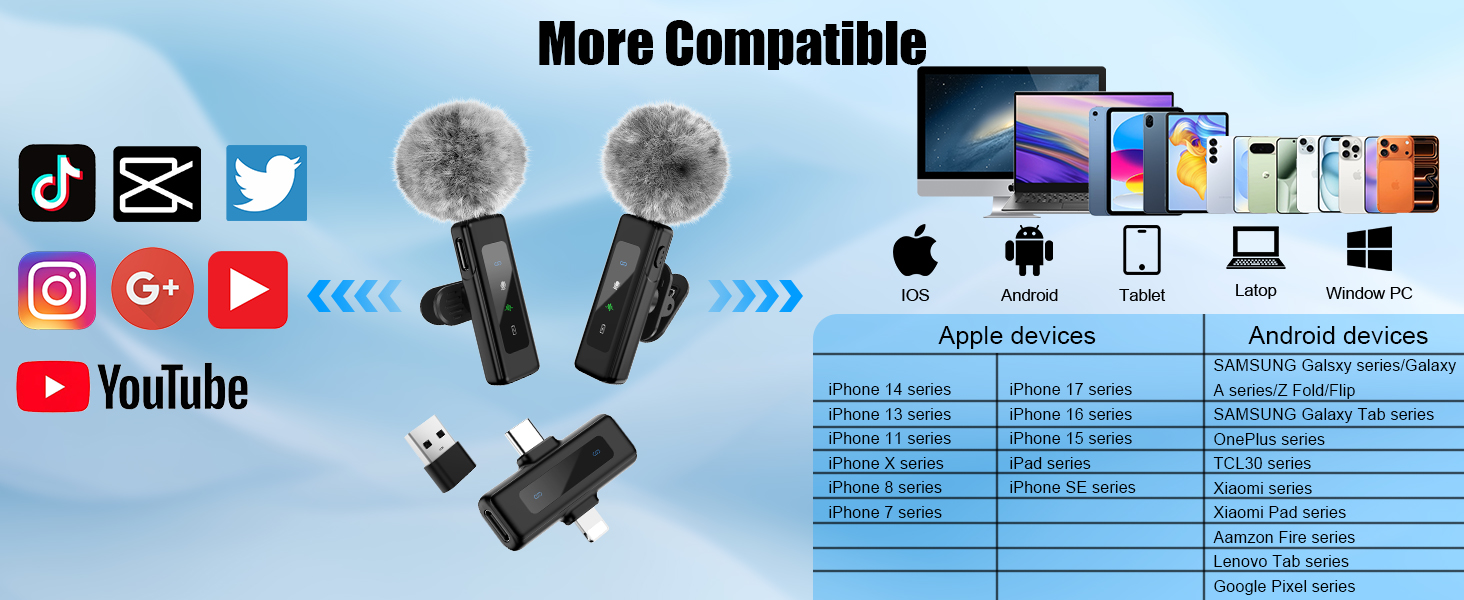 mini mic