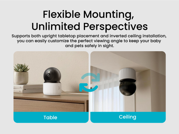 Table or Ceiling