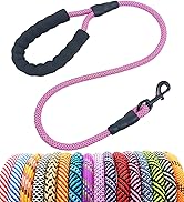 3ft short dog leash
