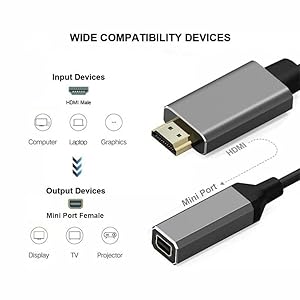 Text reads 'WIDE COMPATIBILITY DEVICES'. Technical diagram showing Mini Port adapter connections between input devices (Computer, Laptop) and output devices (Display, TV, Projector).