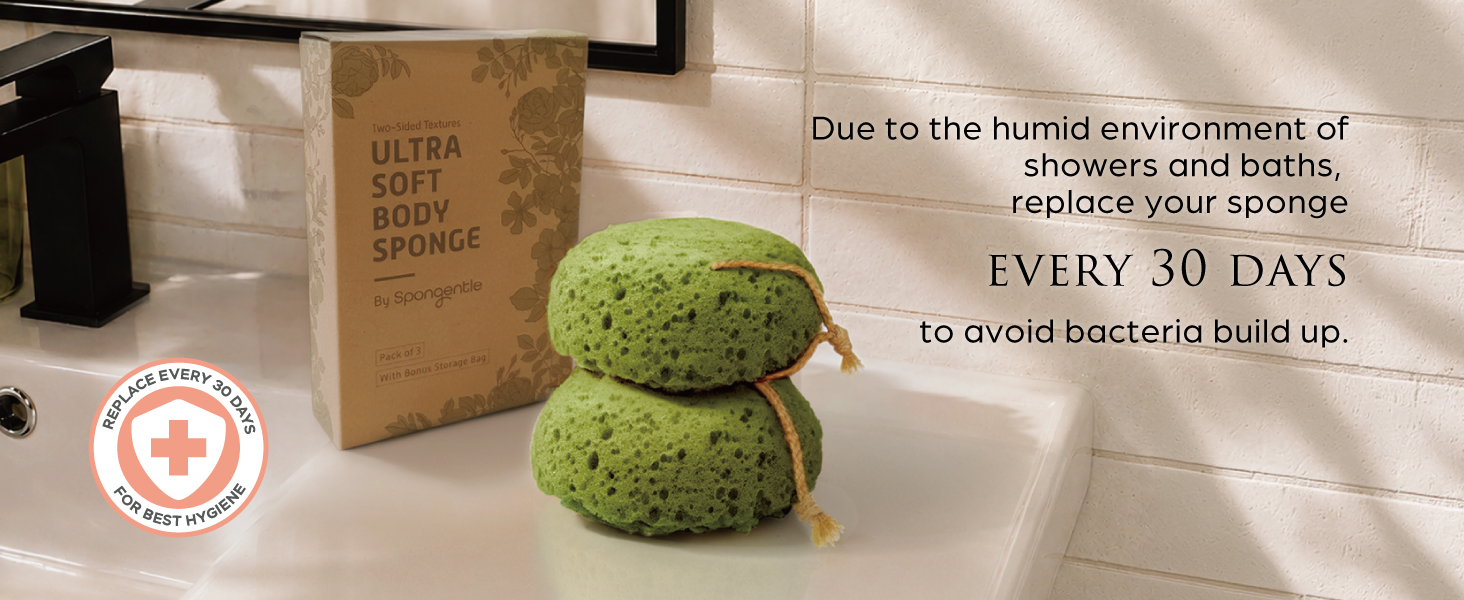 sponge loofah