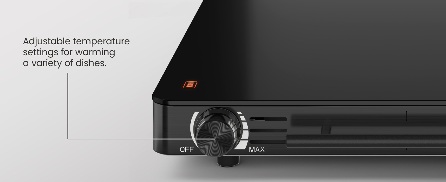 Adjustable temperature settings for warming a variety of dishes