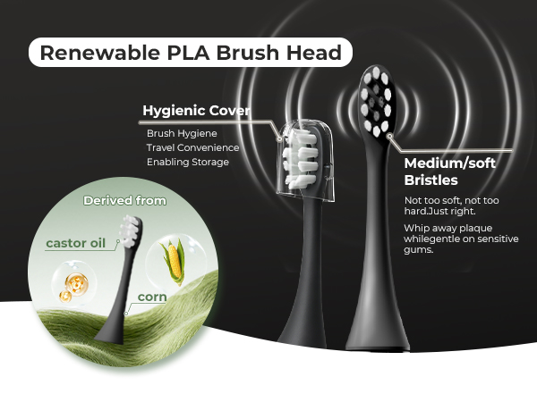 toothbrush replacement heads