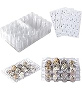 Laojbaba 60 Packs Quail Egg Cartons 12 Grid Clear Quail Egg Containers Mini Egg Dispenser Holder ...