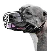 dog muzzle