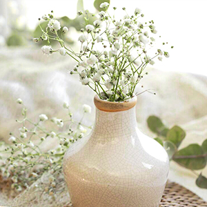 white flowers