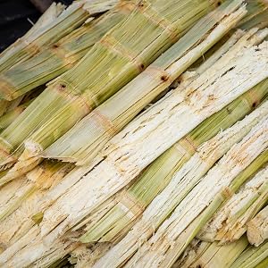 Sugercane Bagasse