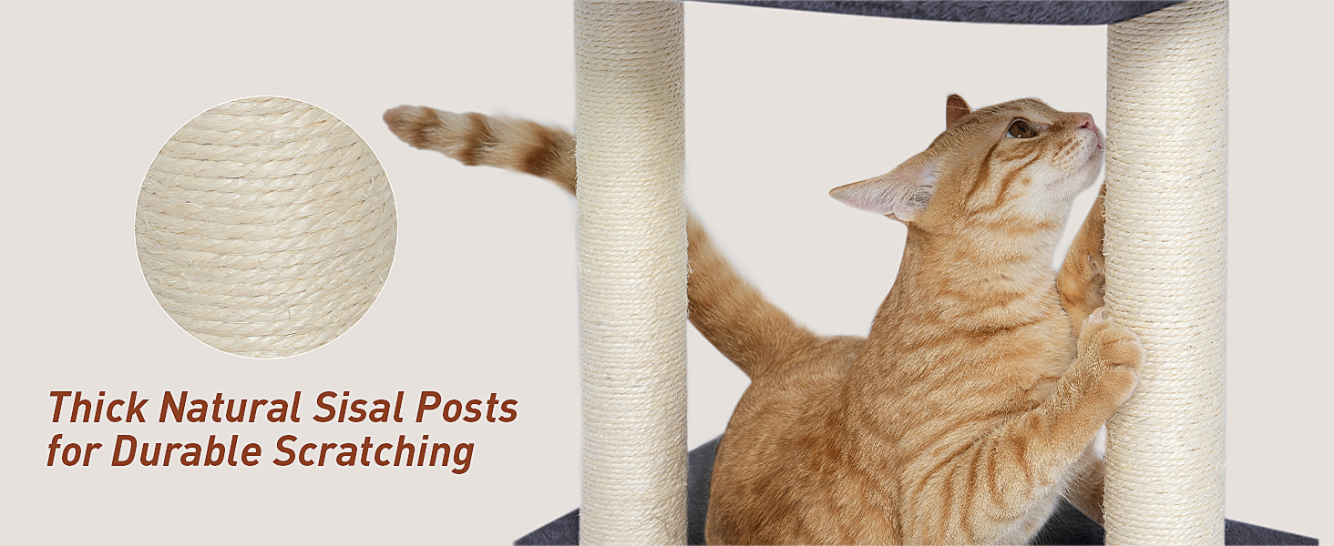 kinotai small cat tree indoor
