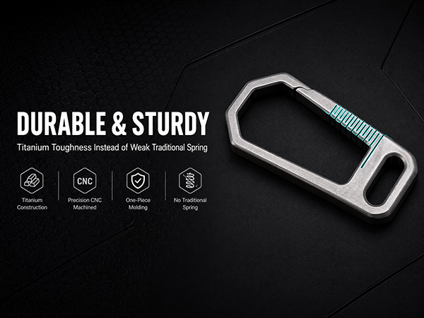 Titanium Carabiner Keychain