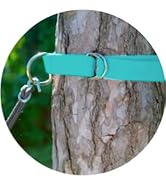 Webbing 1.5 inch