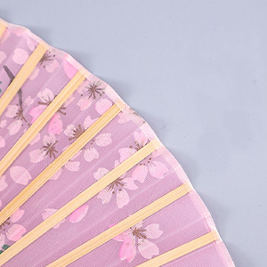 Folding Hand Fan for Women