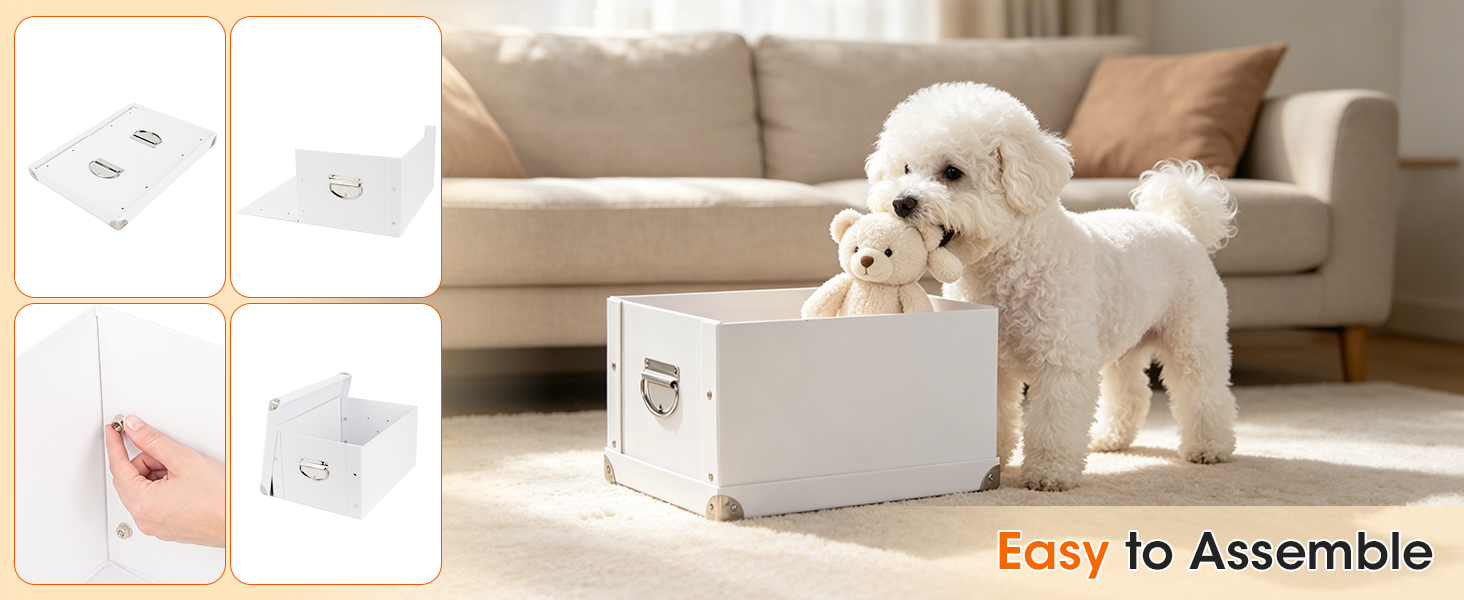 Collapsible Storage Box