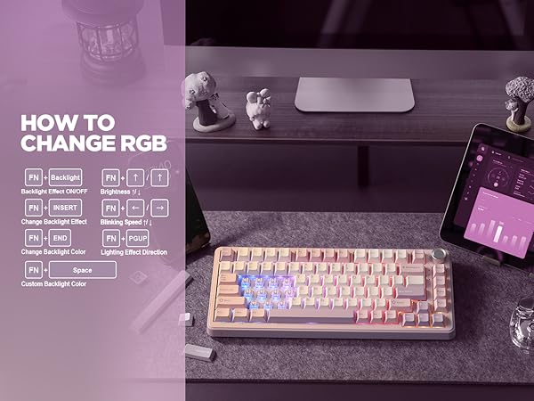 B75 PRO