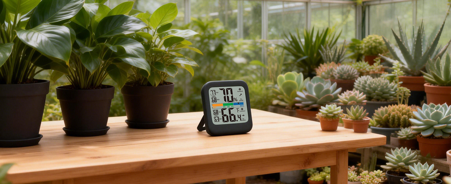 indoor thermometer