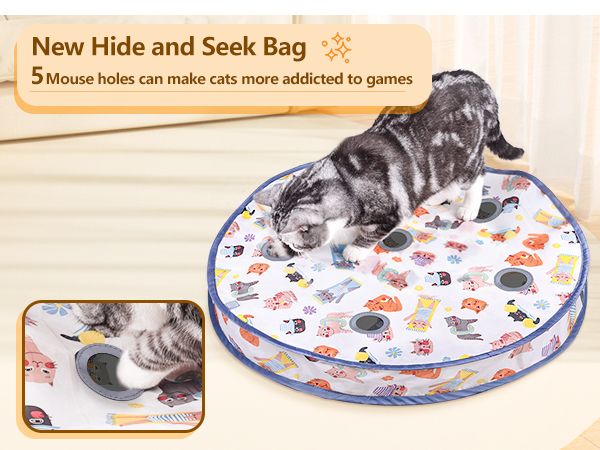 cat toys