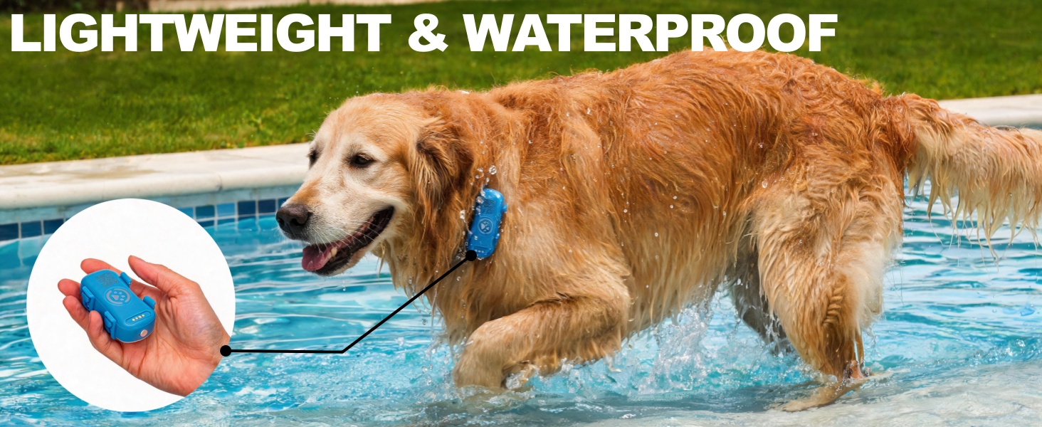 tracker for dogs3