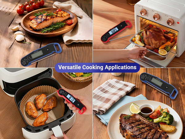 Roasting & Fryer