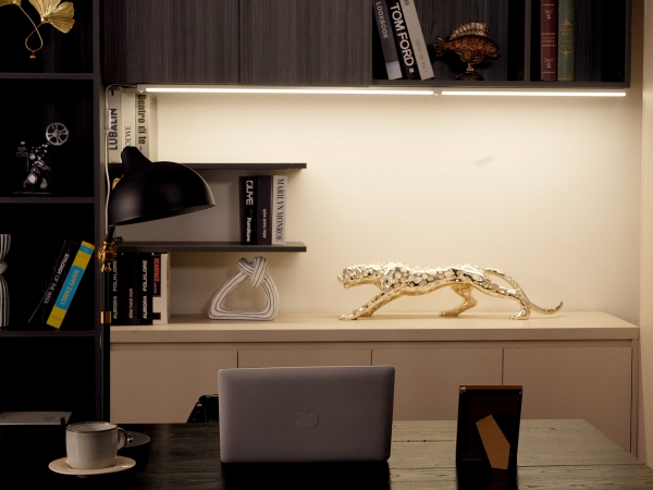 motion sensor light indoor