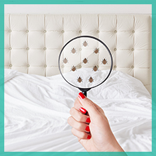 bedding mites bites rashes rash sleeps