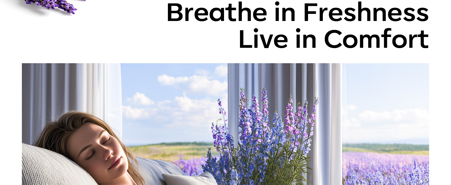 Air Freshener