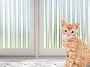 a cat sitting on a rug in front of a window.
