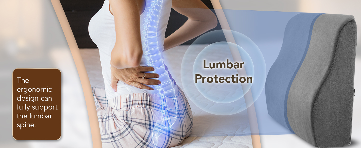 lower back pain back cushion