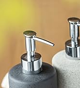 Dish Soap Dispenser