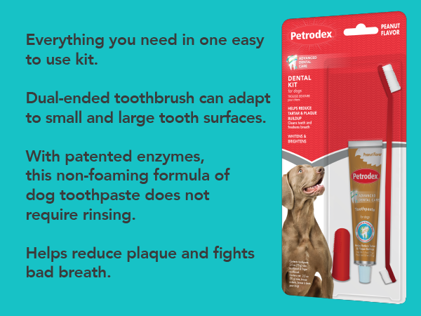 Dental kit for dogs
