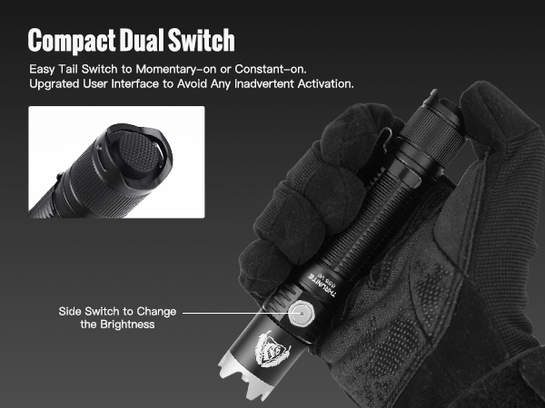 dual switch