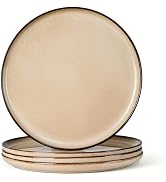 Herogo Ceramic 10.43 Inch Dinner Plates Set of 4, Stoneware Dinnerware Plate Set, Double Reactive...