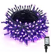 BrizLabs Purple Halloween Lights, 78.74ft 240 LED Purple String Lights with Timer, Plug in Hallow...