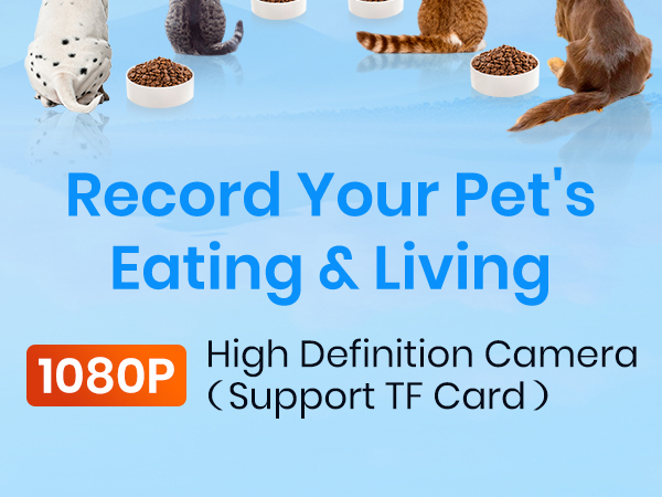 automatic cat feeder with camera