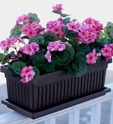 window box plant pot, window box planter, rectangular planter, indoor planter, outdoor planter